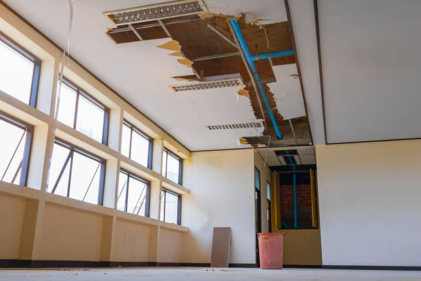 Best Flood restoration services  in Gordonsville, VA