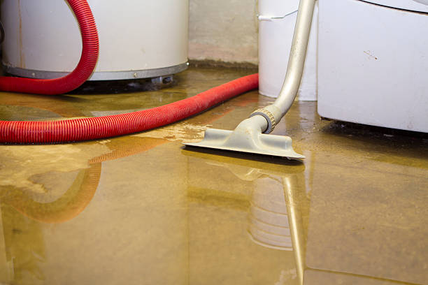 Best Basement water damage restoration  in Gordonsville, VA