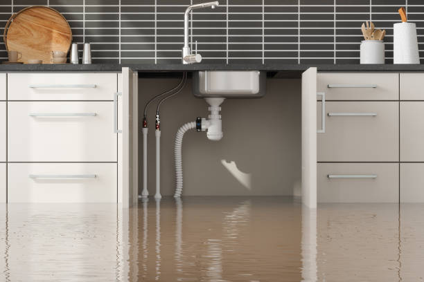 Best Flood damage cleanup  in Gordonsville, VA