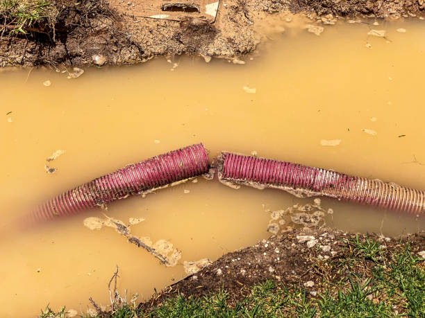 Best Water damage cleanup near me  in Gordonsville, VA