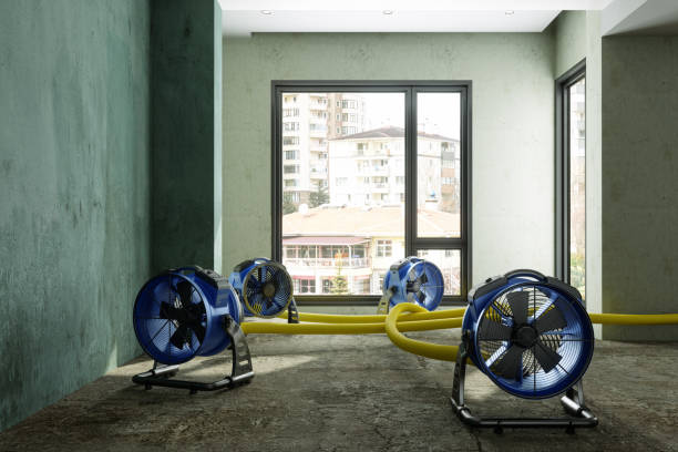 Best Water damage contractors near me  in Gordonsville, VA