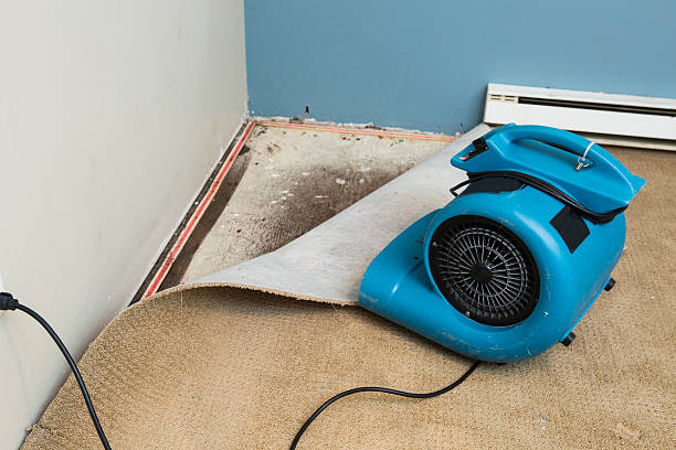 Best Water damage restoration near me  in Gordonsville, VA